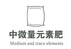 寧夏佳榮農(nóng)業(yè)科技開(kāi)發(fā)有限公司